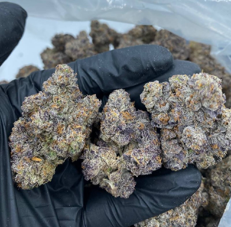🇺🇸 LEMON BERRY SHERBET CALI USA EXOTIC 🇺🇸