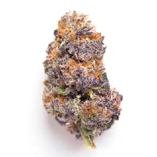 🇺🇸 GELATO X ZKITTELZ CANNABIS CUP CALI SPAIN 🇺🇸