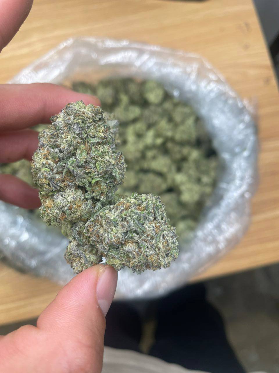 🇺🇸 LEMON CHERRY GATOR REAL CALI USA🇺🇸